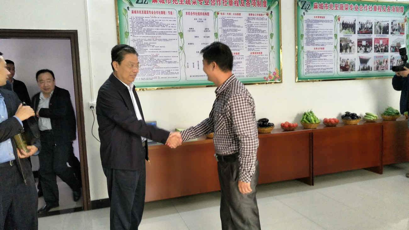 中央政治局常委、全國(guó)人大常委會(huì)委員長(zhǎng)趙樂(lè)際來(lái)公司視察