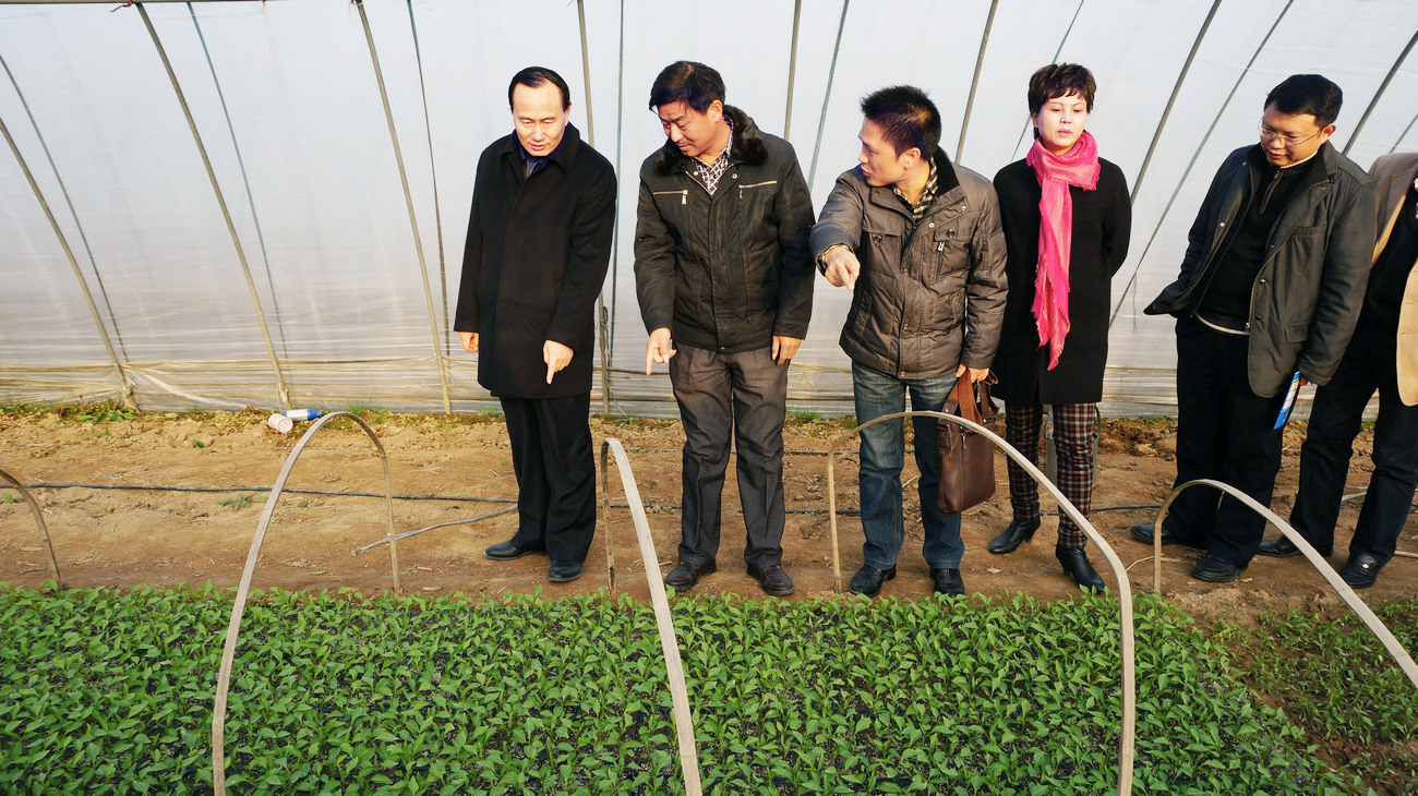 湖北省人大常委、省人大教育科學(xué)文化衛(wèi)生委員會(huì)副主任委員、湖北省科學(xué)技術(shù)廳一級(jí)巡視員劉望清來(lái)公司基地視察指導(dǎo)工作