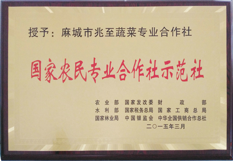 國家農(nóng)民合作社示范社